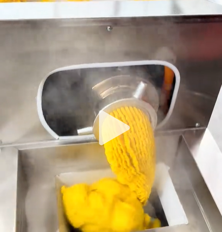 ��Ԫ�׹�-˫������